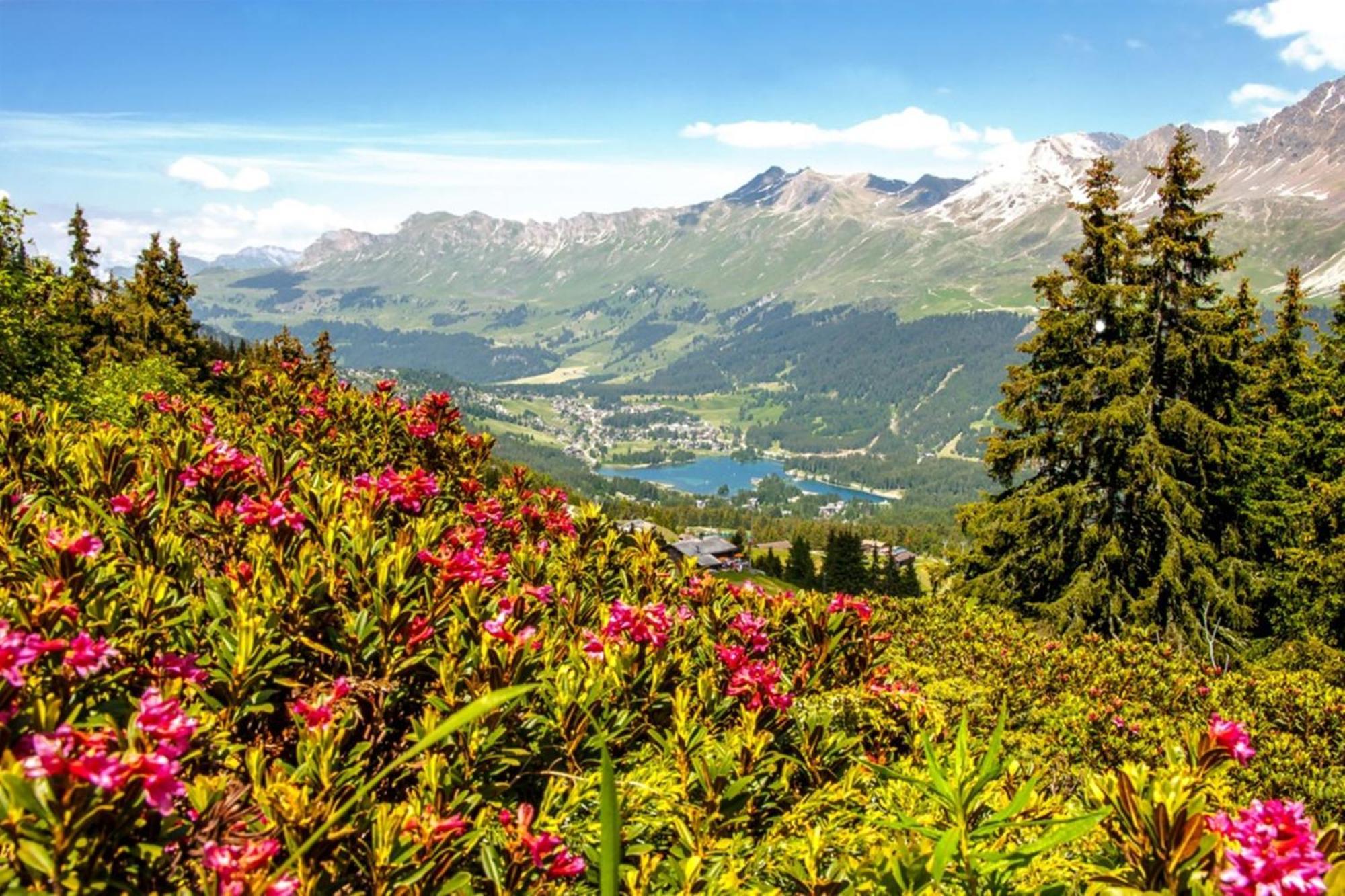 Hotel Lenzerhorn Lenzerheide Esterno foto